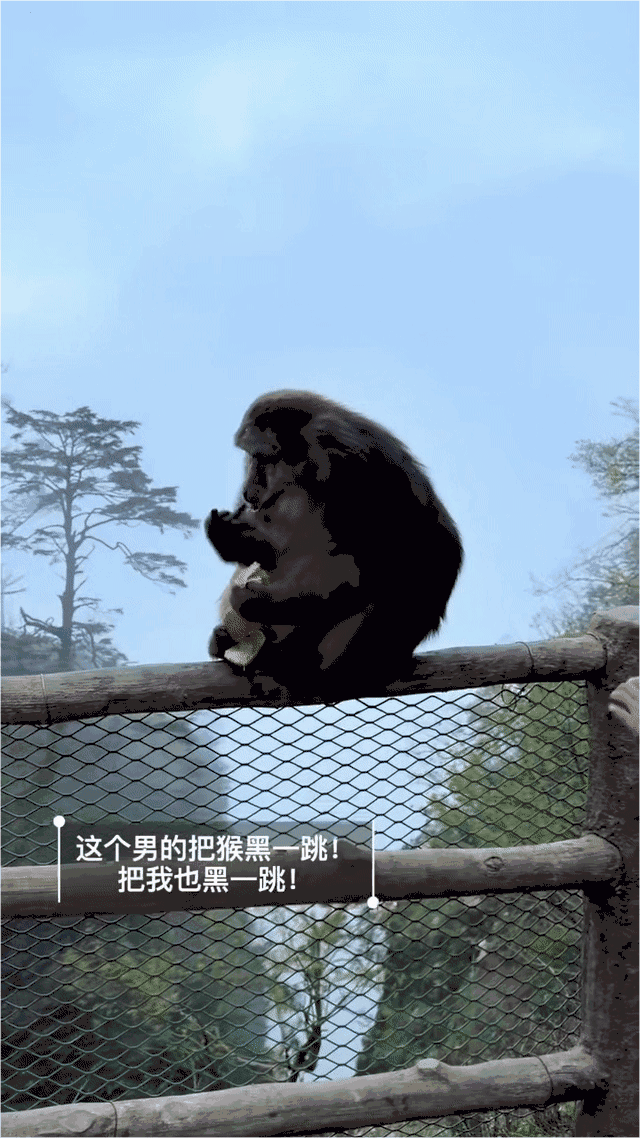 你永远不知道，一个人能坏到什么程度。刷到峨眉山那个视频的时候，我后背一阵发凉