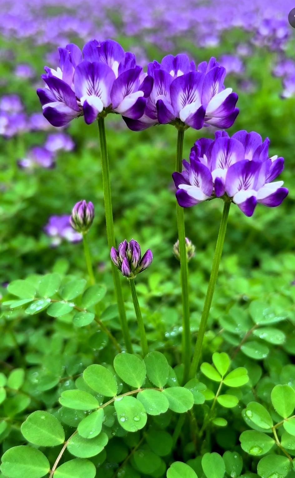 不要焦虑，就现在这个大环境，大多数人都赚不到钱，但凡有点上进心的，都负债累