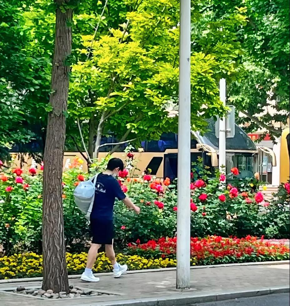 “人参果”终于出现了，再不出现，大伙都得相思病了。有网友拍到莎莎开始上训