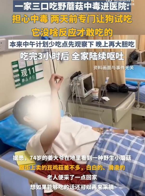 是个人才！四川遂宁，一男子在地里发现一些野生蘑菇，又想吃又担心中毒，于是做好后让