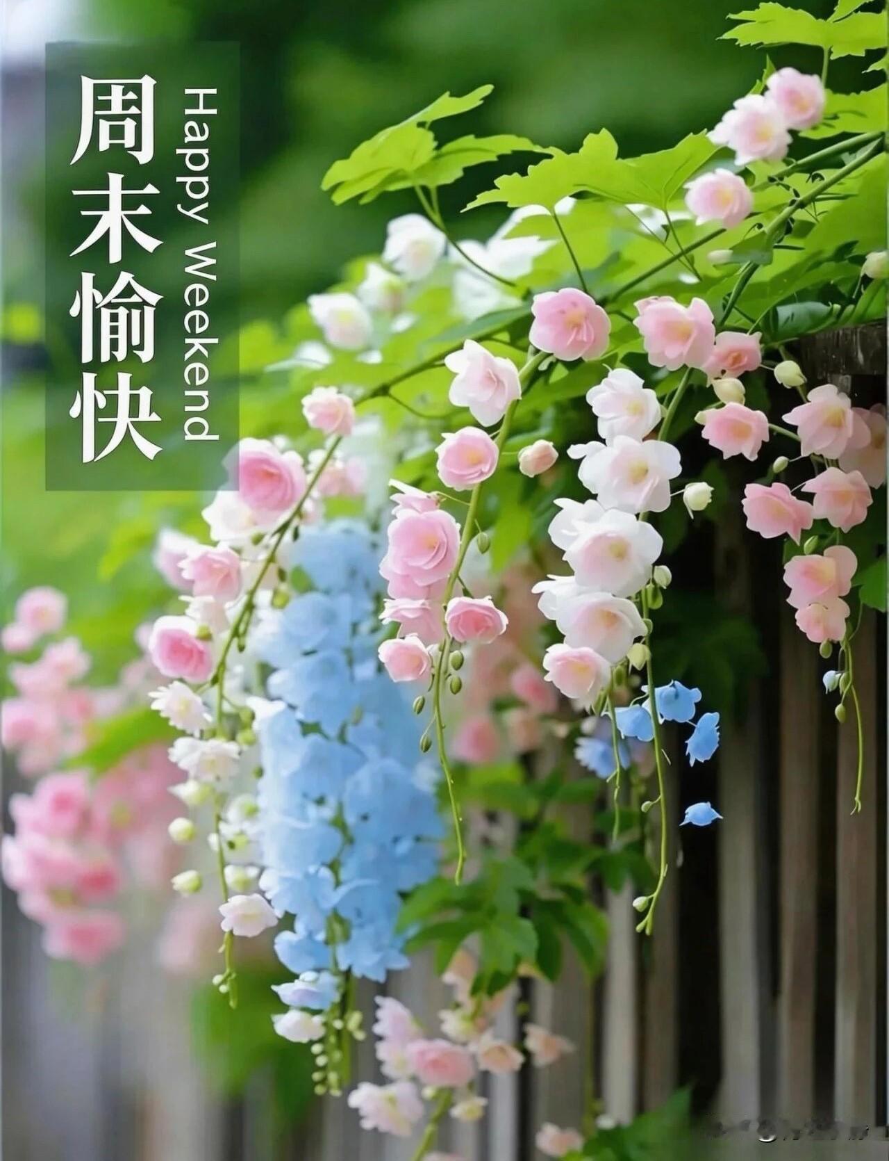 🍎²⁰²⁶/₀₄.₁₉🧨ᵕ̈🐎🍃🌻🍒🍡🍃𝐌𝐨𝐫𝐧?