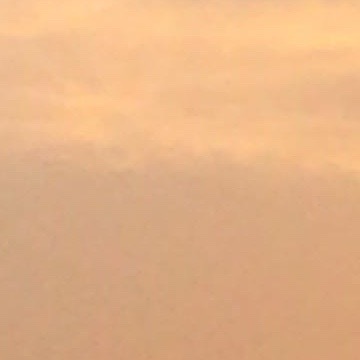 晚风未尽，小犬长眠｜微小说初秋的风已经带上了凉意，卷着小区绿化带的枯叶，轻轻扫过
