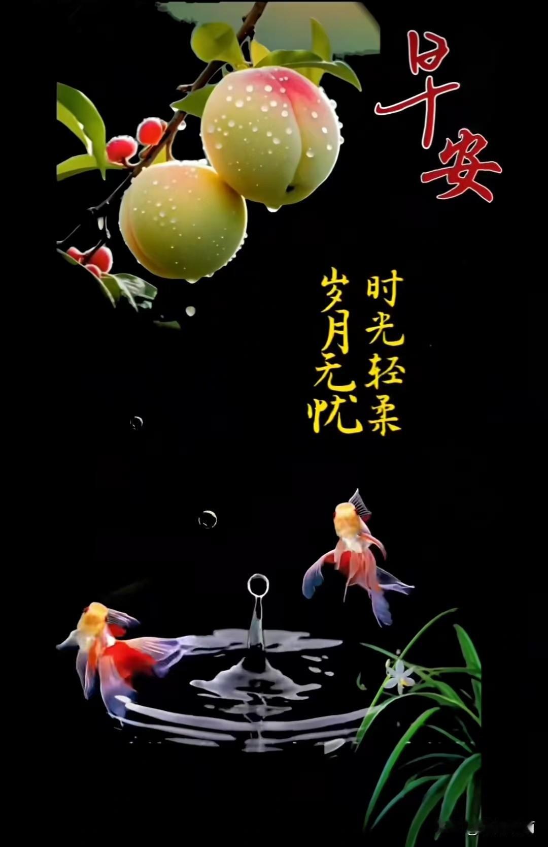 墨底裹晨光，桃枝垂露。水珠坠水，漾开细纹，惊得金鱼摆红尾。“早安”染暖，衬着“