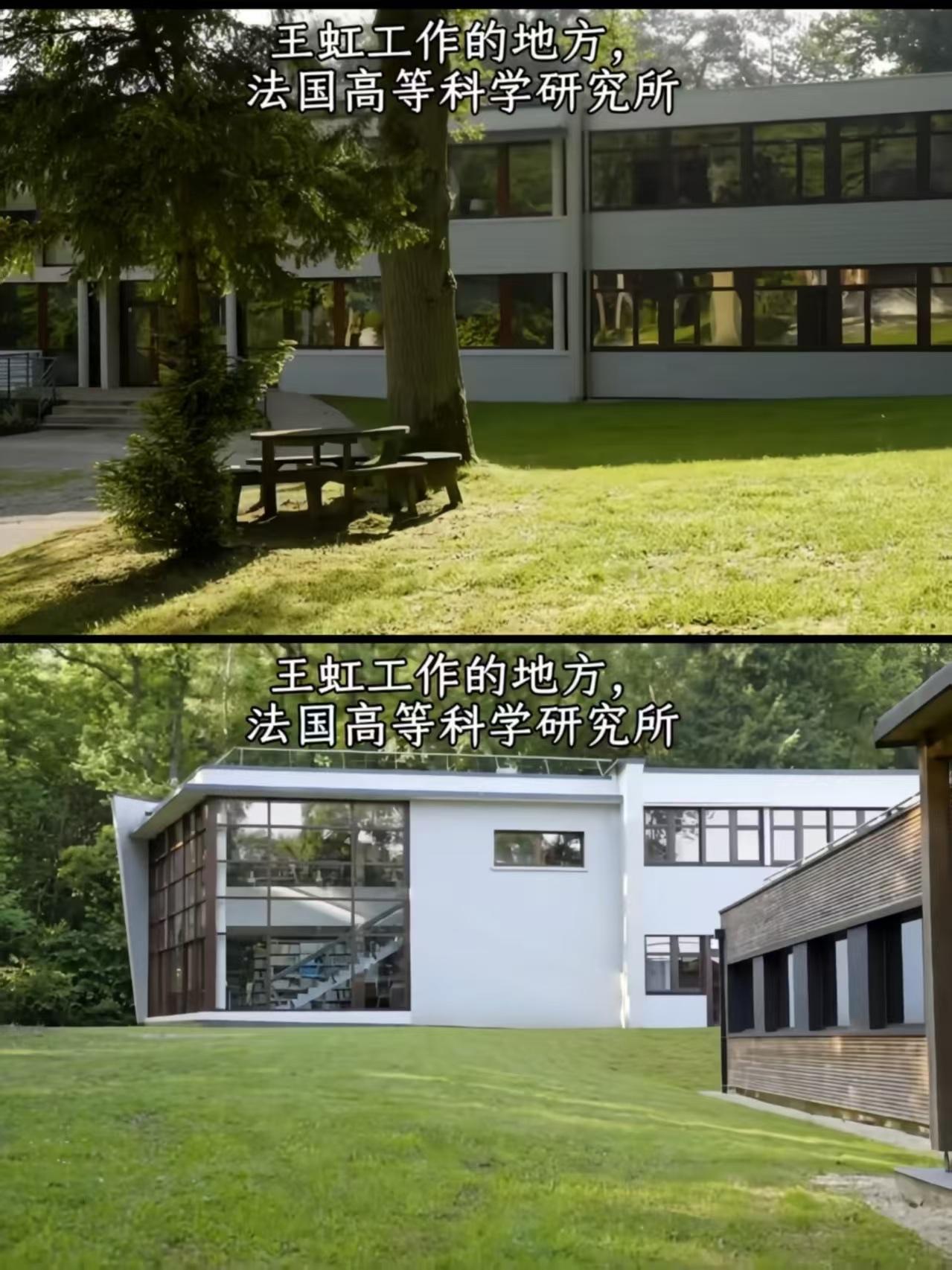 看了王虹在法国的工作环境，我彻底破防了，有25亩的森林公园就算了，还没有考勤