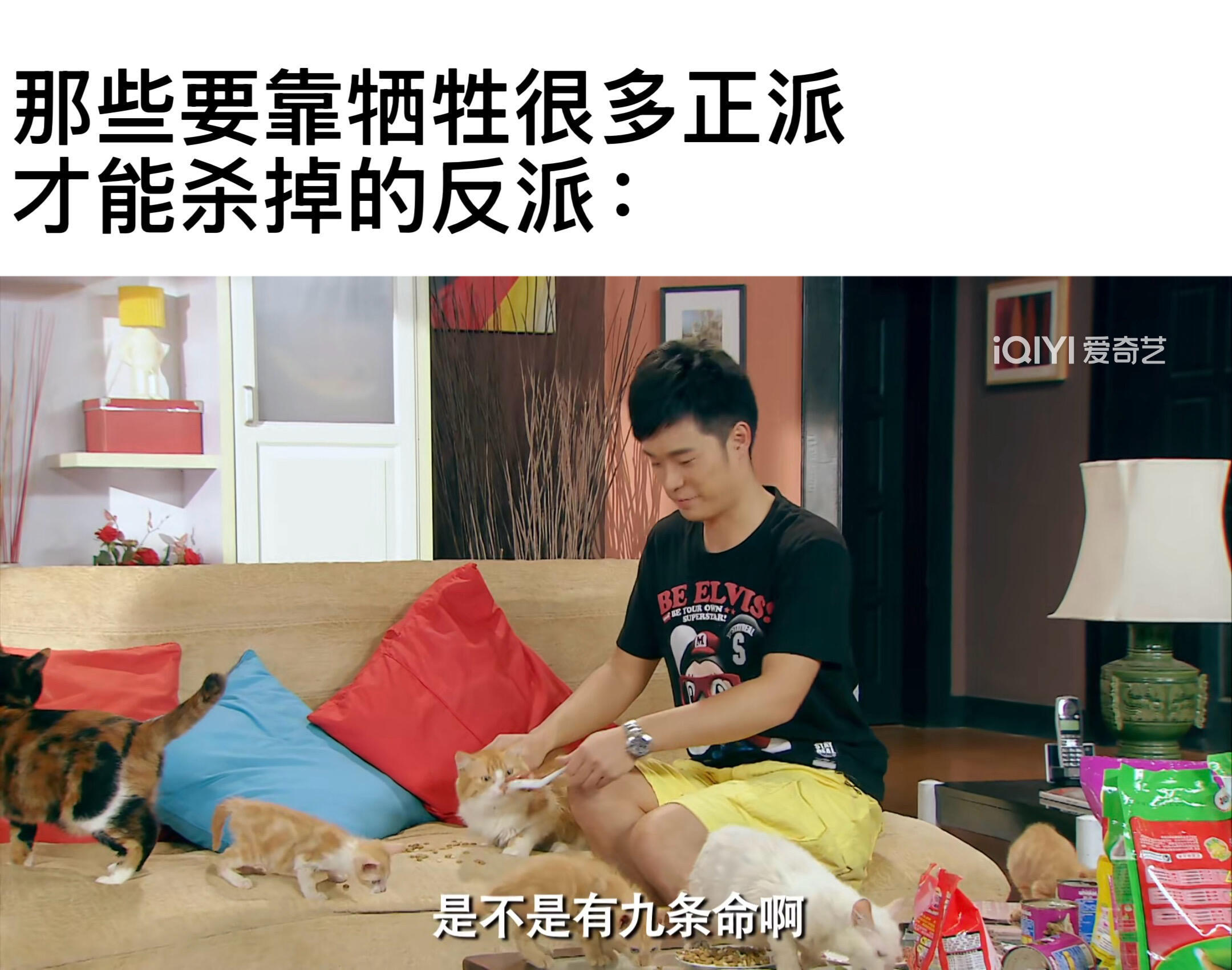 爱情公寓同人女meme