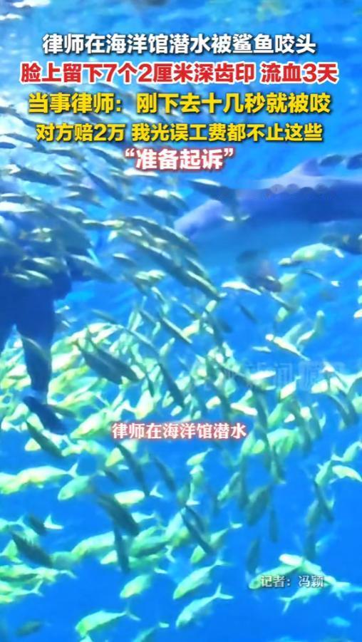 “这不是要人命嘛！”6月15日媒体曝光报道，湖南长沙，一位律师在海洋馆体验潜水。