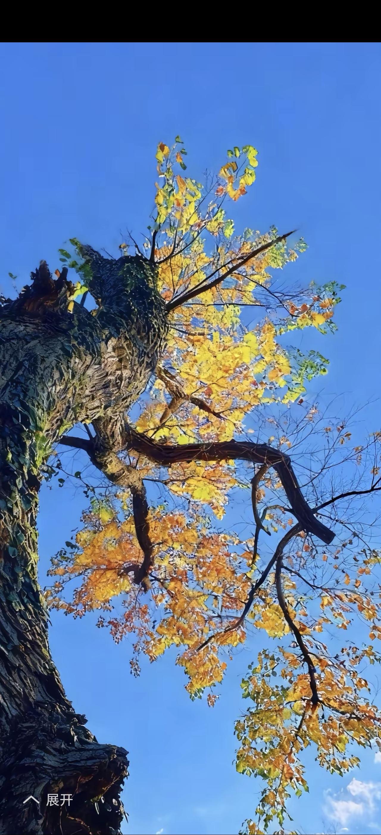 有点钱不是富，身体健康最重要。我们每天都在为钱奔波，把“搞钱”当成头等大事，却忽