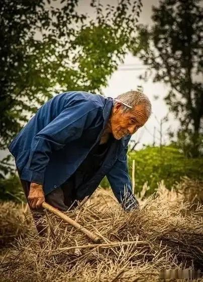 土地是农民的命根子，也是城市人的命根子，农民成了收租金的“地主“，承包财产交承包