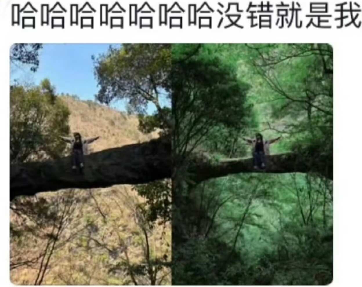 永远不知道女生p图到底在p啥