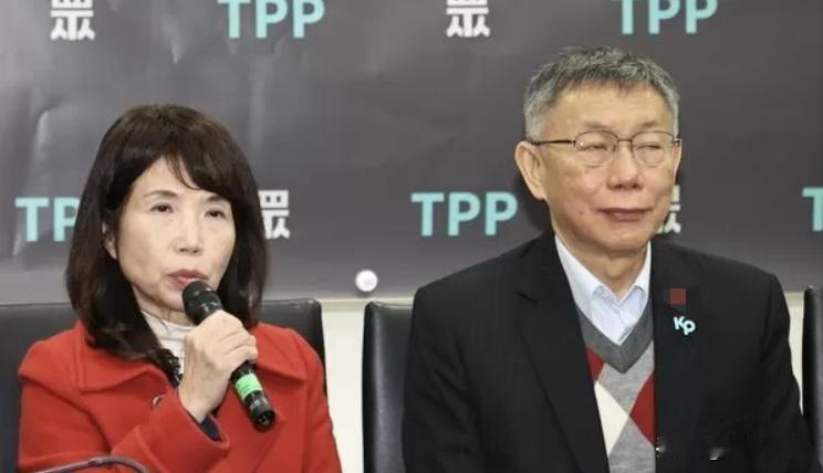 不满陈昭姿未辞立委林国成：“考试不及格的要留任”这什么逻辑？民众党不分区