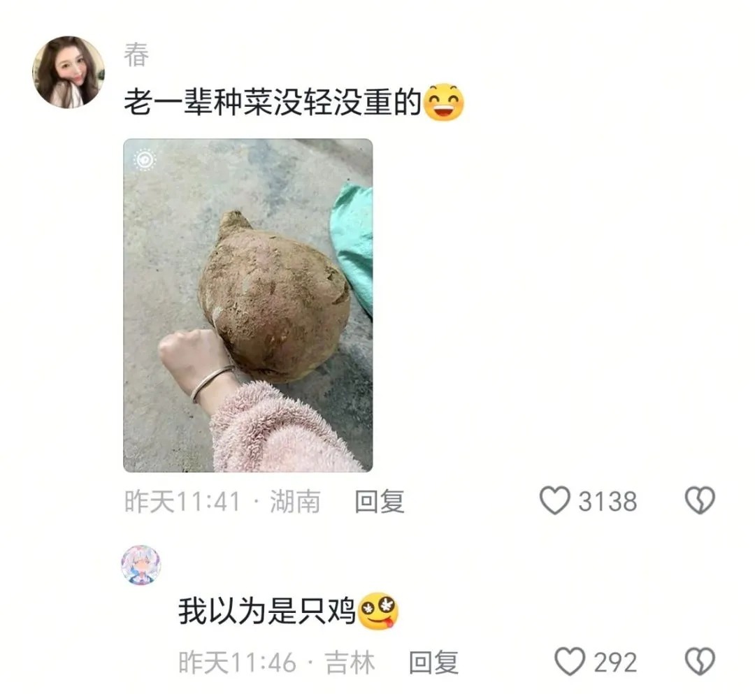 老辈子种菜真是没轻没重啊