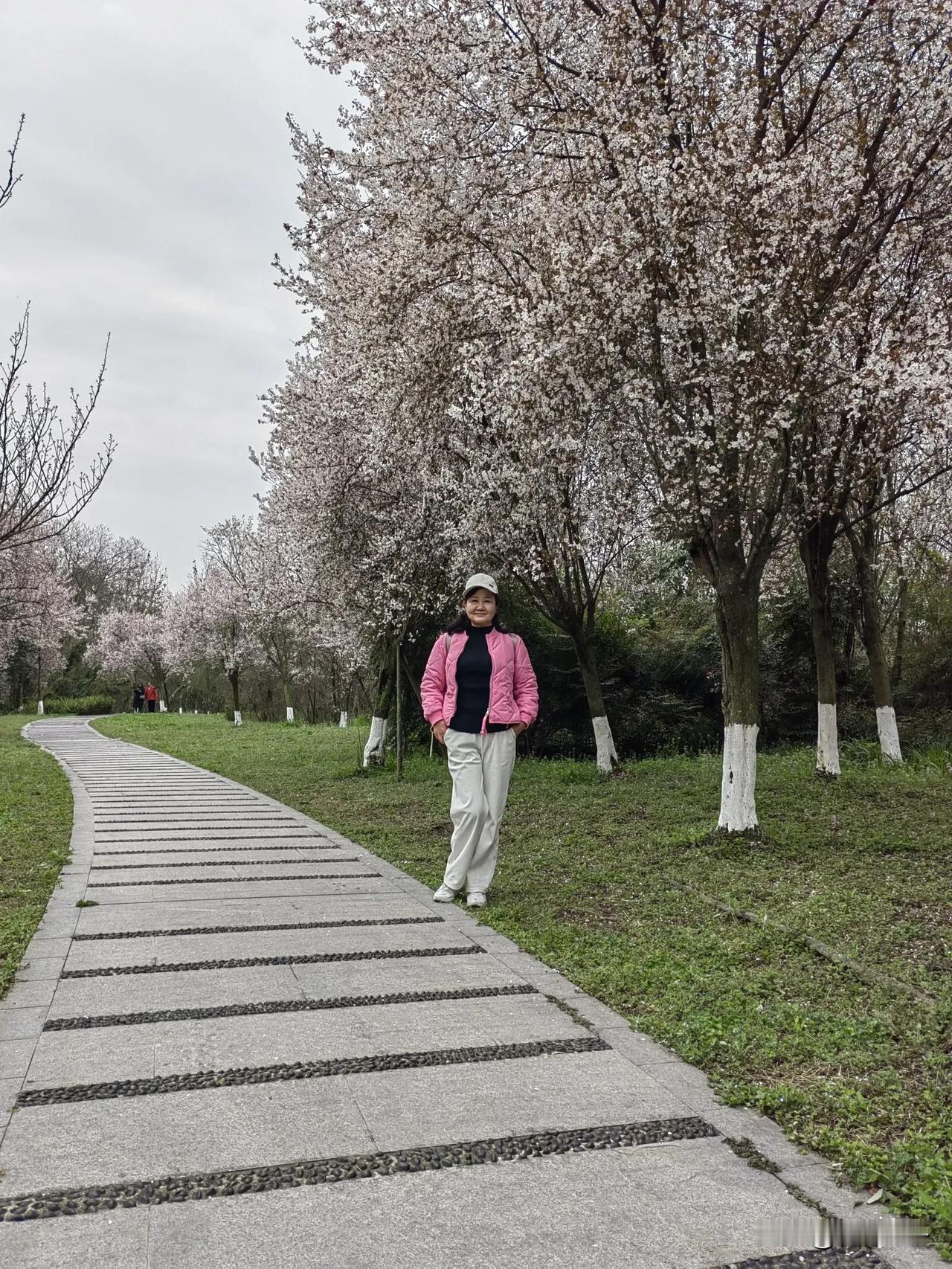 穿上玫红色的棉服，遭到了同龄人的嘲笑，被说很土。自从退休之后，我的着装风格以休