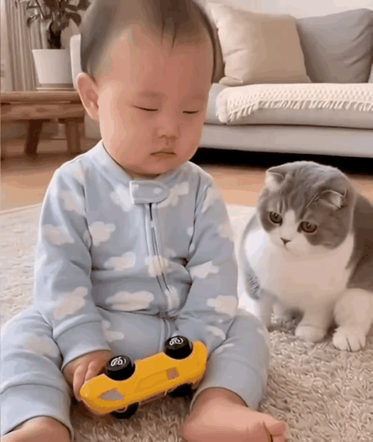 是谁家的小猫咪这么懂事！小主人犯困打盹，它乖乖守在一旁，一动不动的样子也太暖心