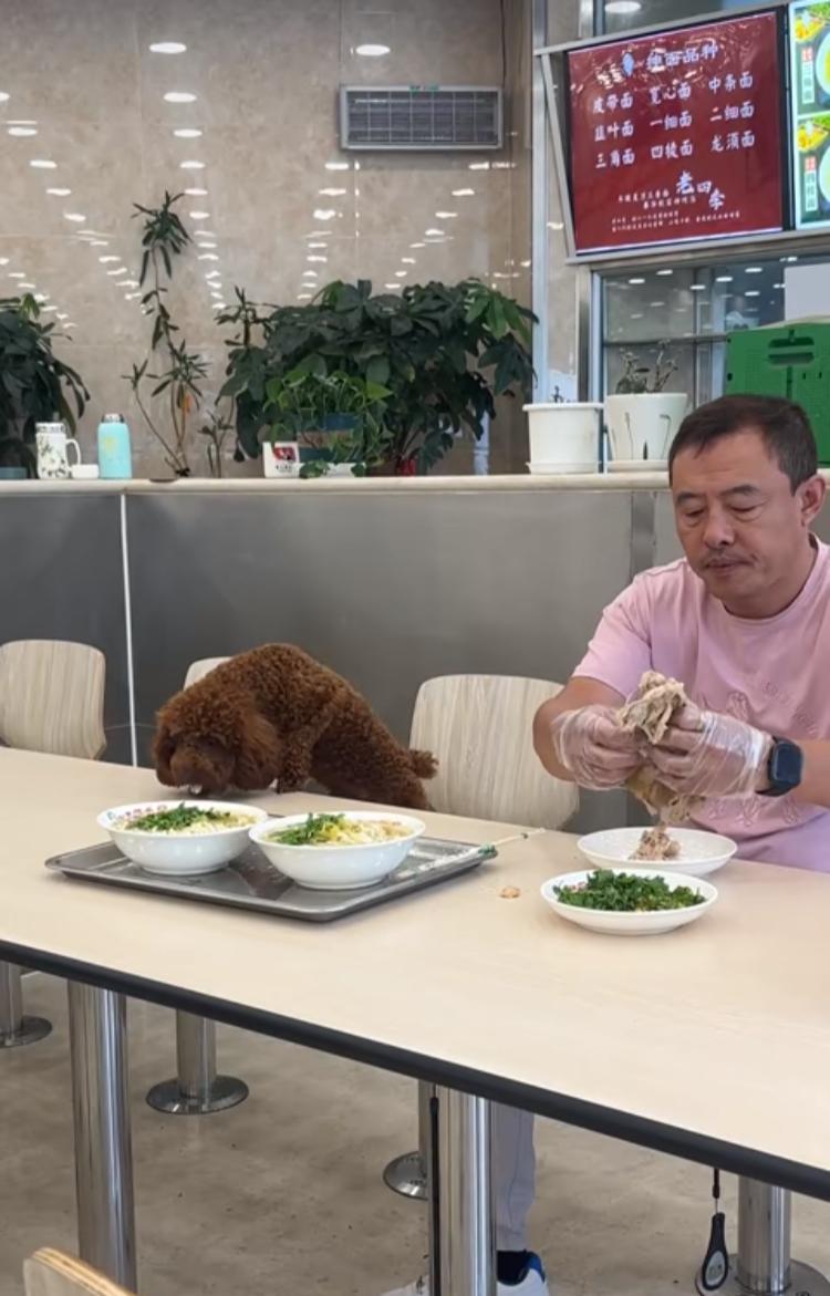辽宁沈阳一家面馆内，一个粉色上衣的男子不停的撕下手里的鸡肉喂给旁边的泰迪小狗。