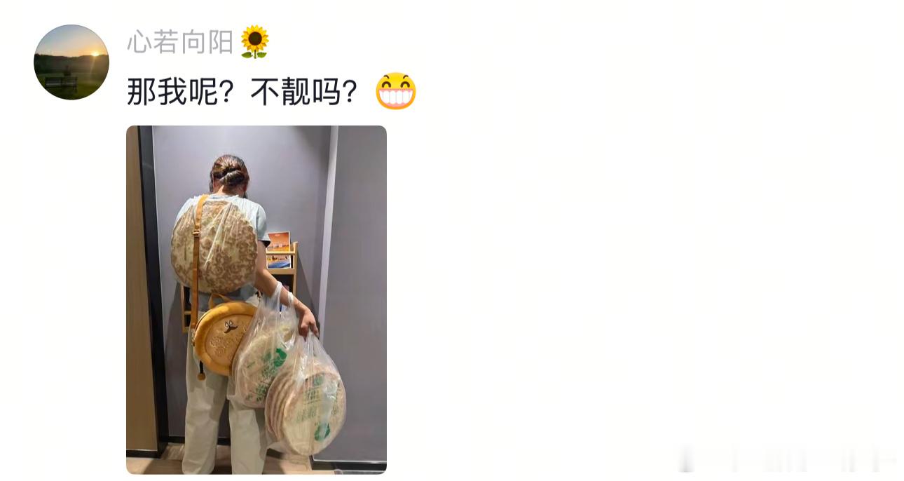 “行囊”一词终于具像化了