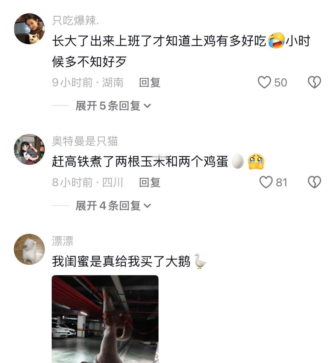 非常贴心了，我现在过生日就想吃个红烧土鸡