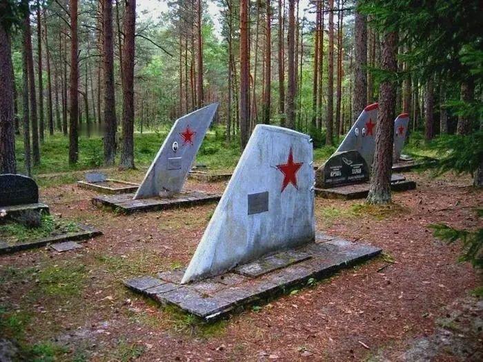 位于爱沙尼亚埃马里（Ämari）空军基地附近的苏联战斗机飞行员墓地，其独特的墓碑