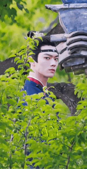 今天的殿帅，又是抹额妆，本来挺温润如玉，活像贾宝玉，因为公子有一张举世无双的俊颜