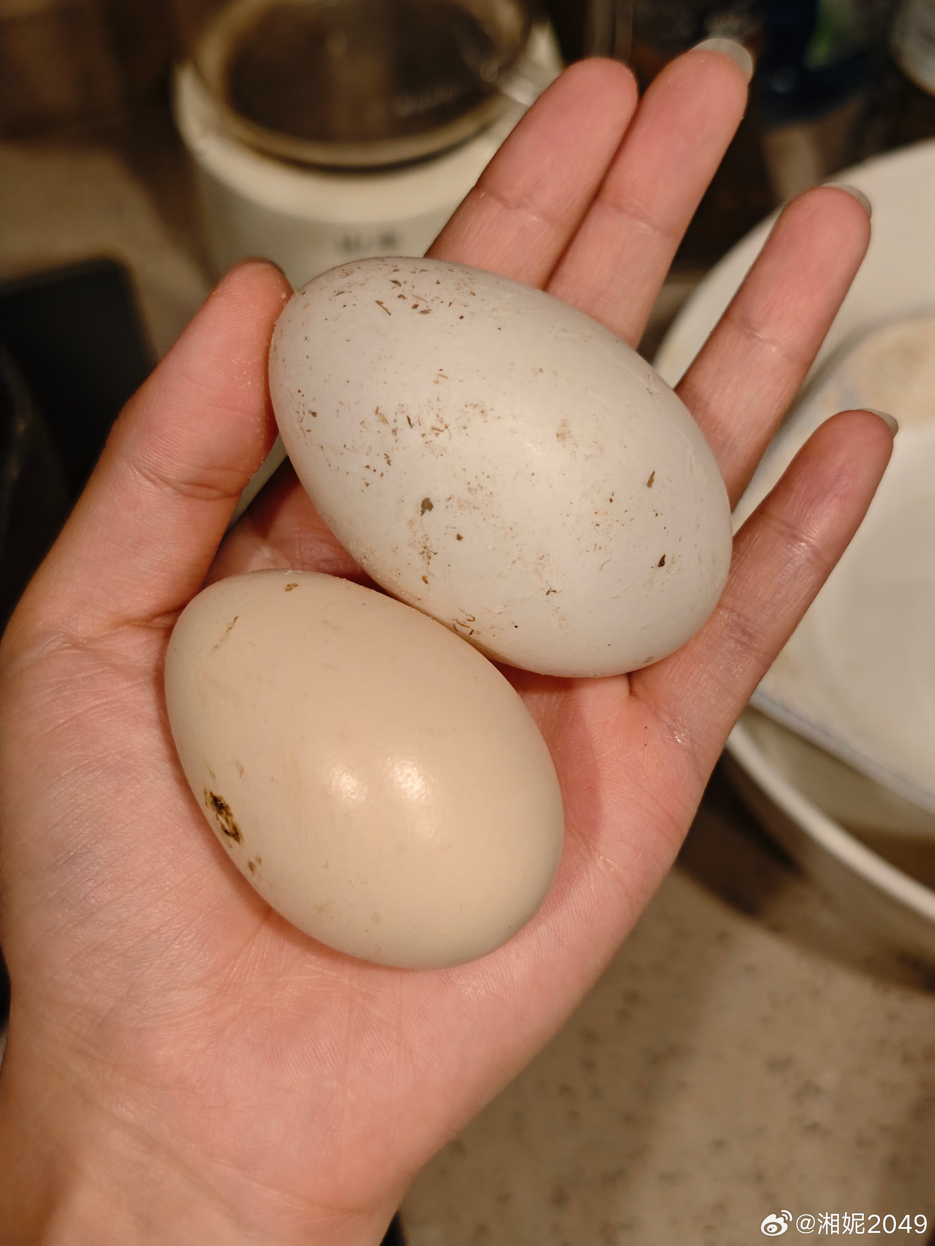 奶奶给我的鸡蛋上还妥妥的有鸡屎真纯·天然（有奶奶爱真好）