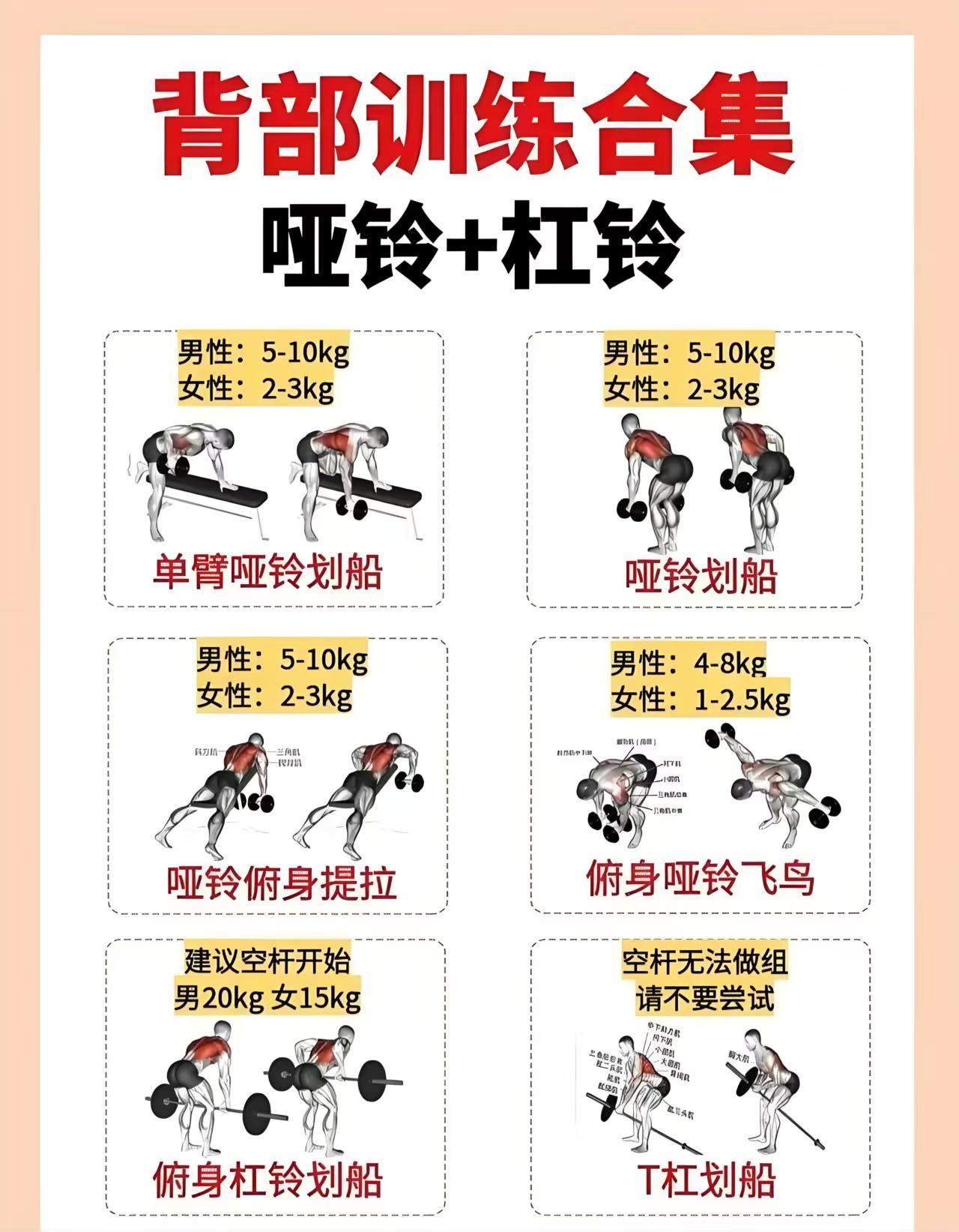 背薄显年轻，背厚显强壮！使用哑铃或杠铃的练背动作背部形态是好身材的绝对标志