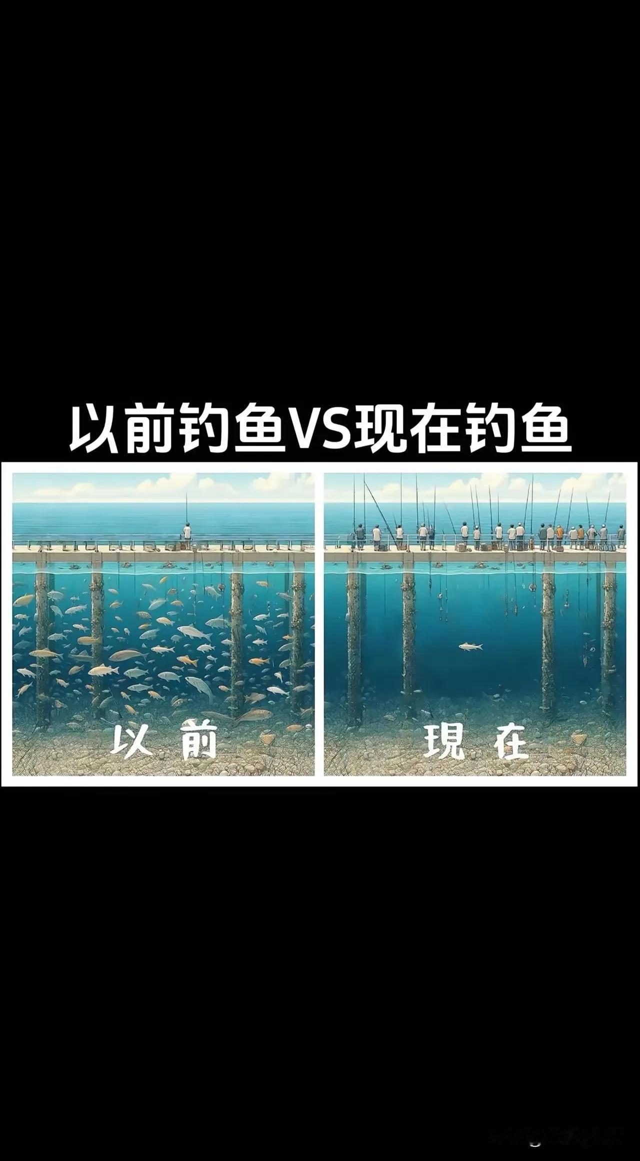 现在这个社会太卷了，干啥都卷，看看钓鱼都卷成什么样了！