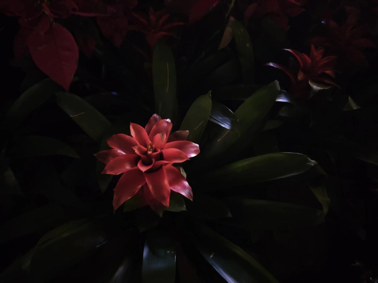 我有一位女同事的哥哥，他老婆出轨与他离婚了，连两岁多的孩子都没要。她哥哥与妈妈