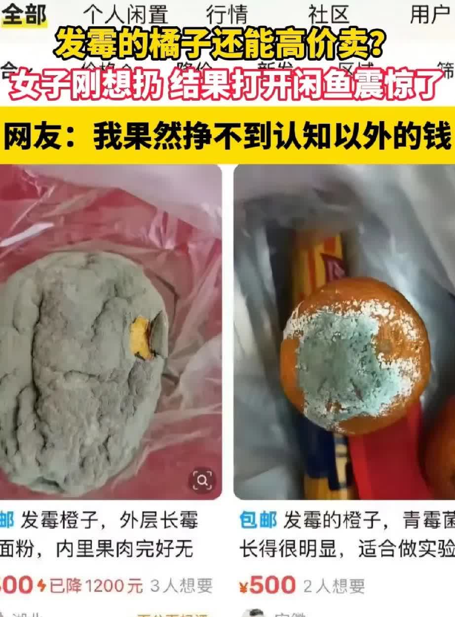 家人们，谁懂啊！发霉的橘子竟然能卖钱！以前水果放久发霉了，咱都是直接扔，现在才知