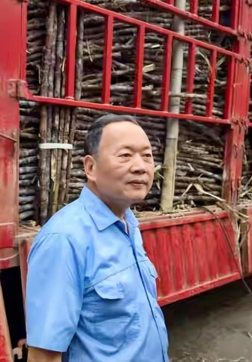 “甘蔗运来我们都要！”广东化州一糖厂主动收购蔗农滞销果蔗，几百辆货车排队两三公里