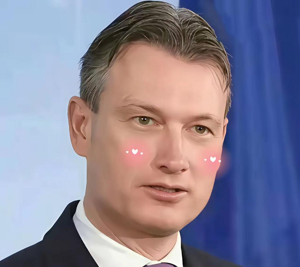 快报！快报！荷兰终于说实话了荷兰大臣卡雷曼斯近几日表示，愿意与某个中国就安世