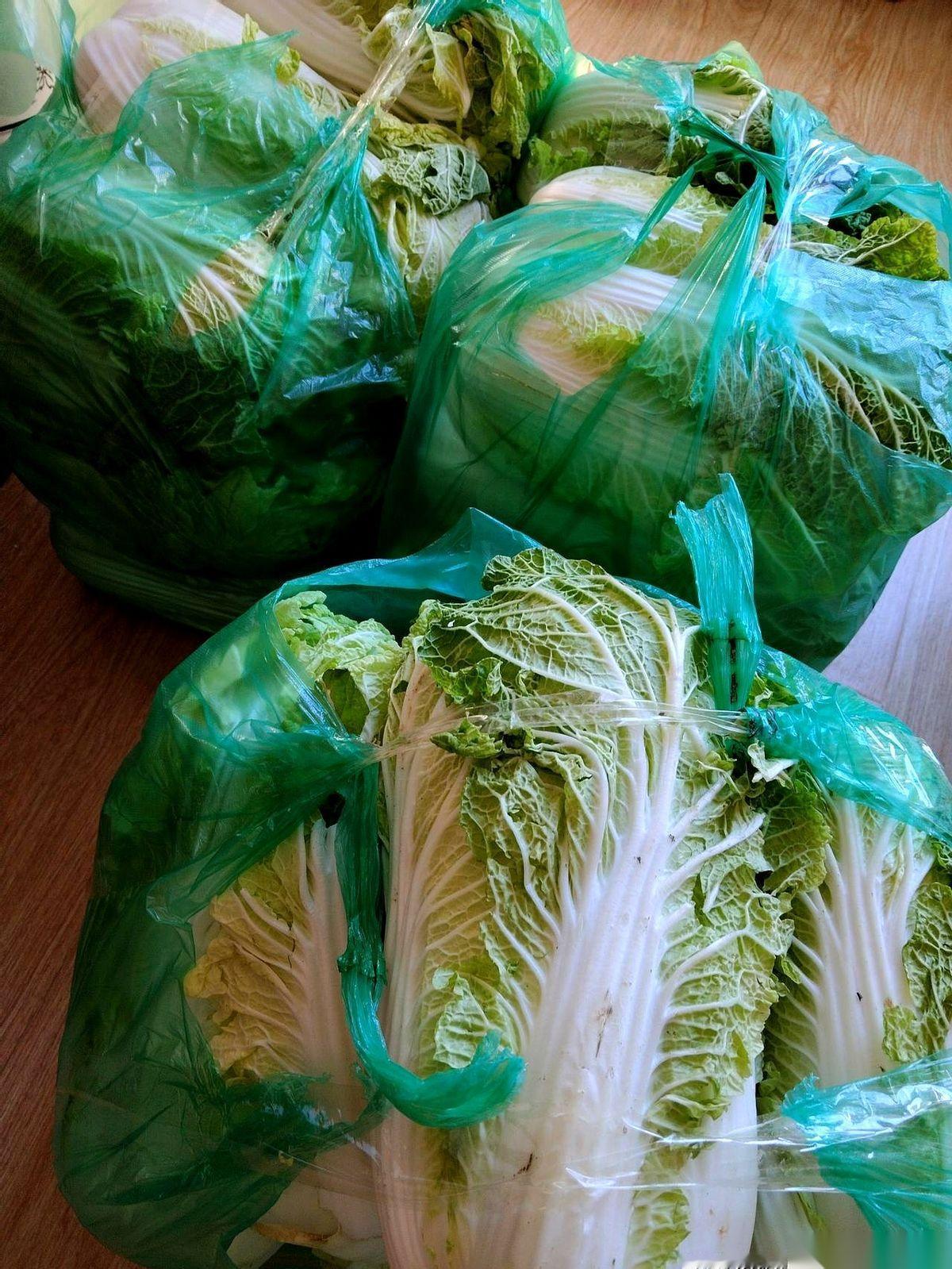 好家伙,我感觉今年这酸菜要积不明白了。看着厨房里堆成小山的一百斤大白菜,我陷入