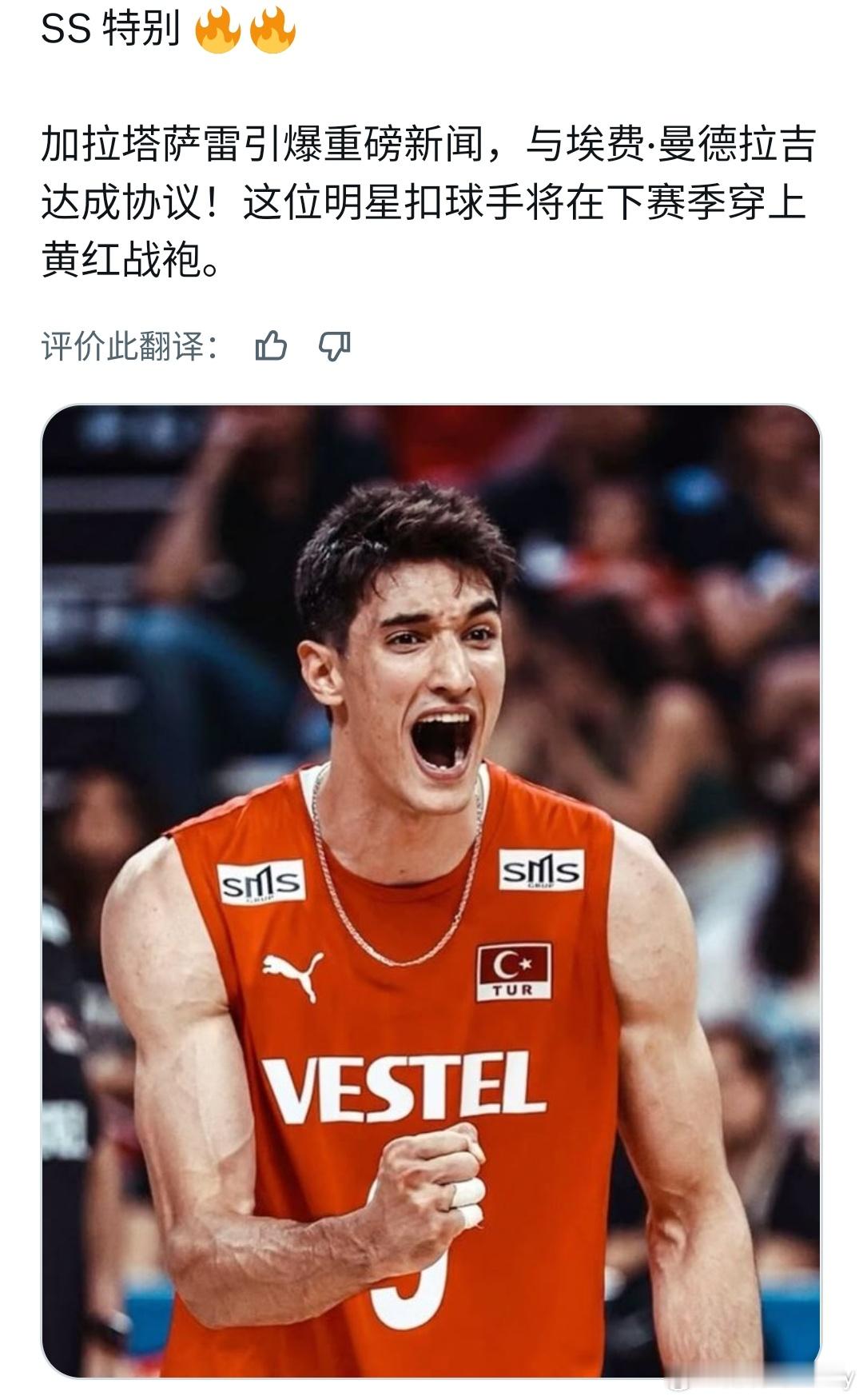 肯定假新闻。男排国际排坛动态