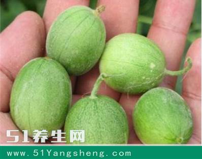 农村人见了就想砸的野西瓜: 老人说它有毒, 拿到城里能卖5块一斤