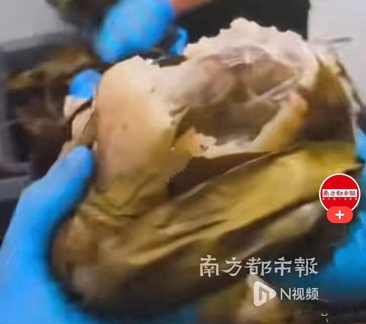 谁能想到，好好的端午粽子，竟然被不法分子拿来当成藏毒的伪装工具……近