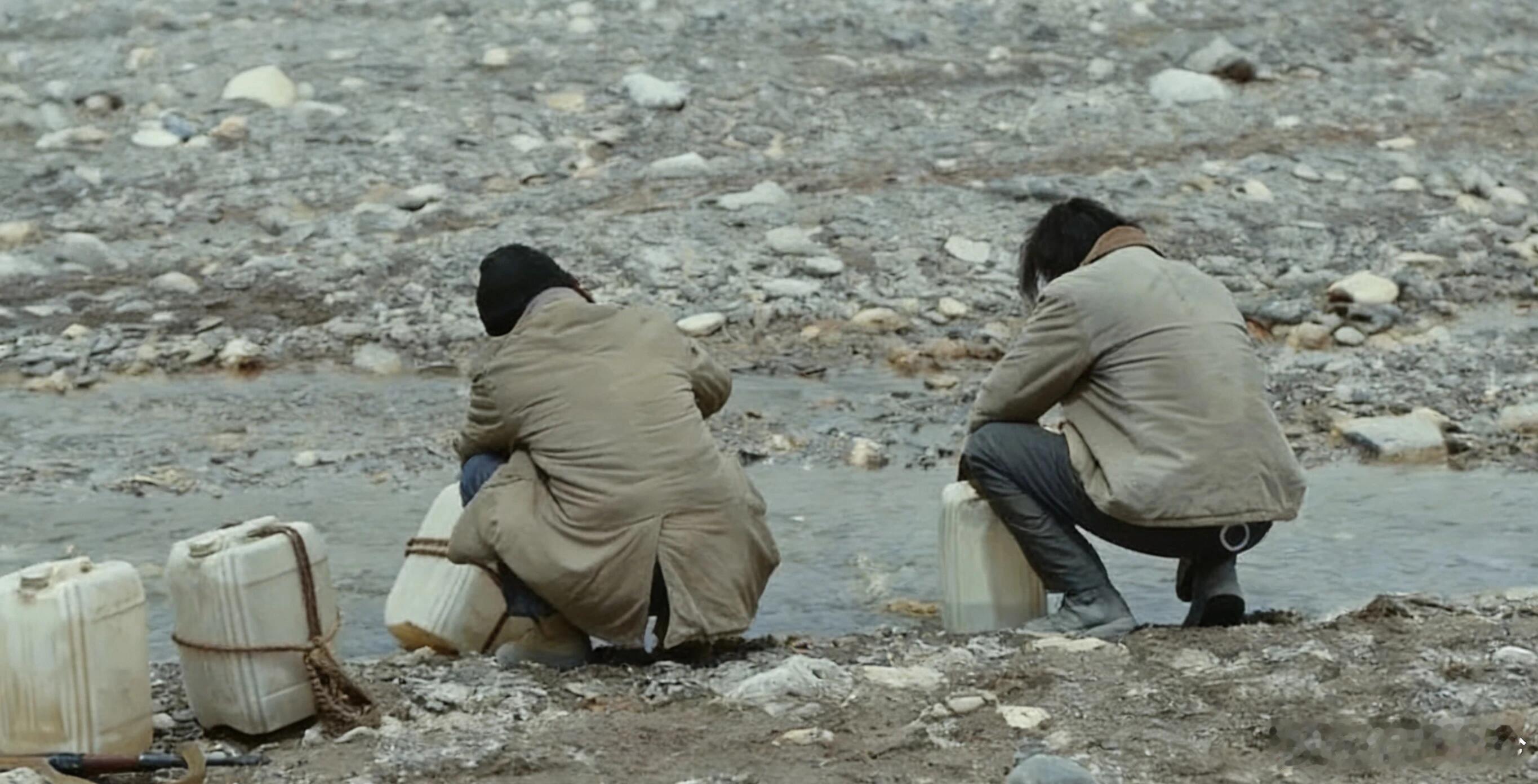 分享娱乐在《生命树》这段情节里，打羊人同伙突然变脸抓人，背后原因竟是贺清源不经意