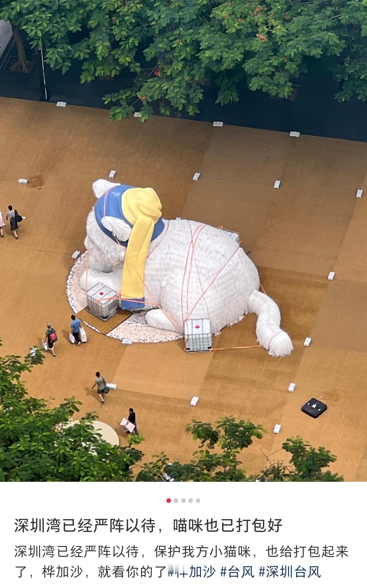 台风广东病都已打包好！麦当劳叔叔也已准备就绪[捂脸哭]​​​
