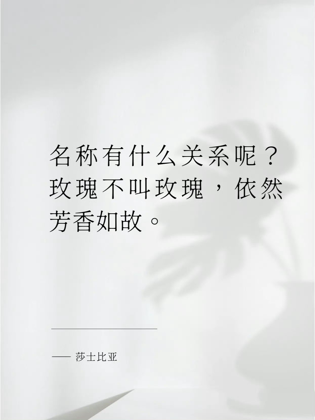 你能拒绝得了文学，但是拒绝不了莎士比亚