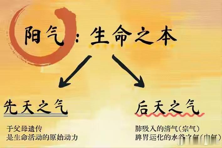 中医提醒：人一定要有“阳气思维”！这句话其实是老一辈医家说的。他讲：一天阳气不够