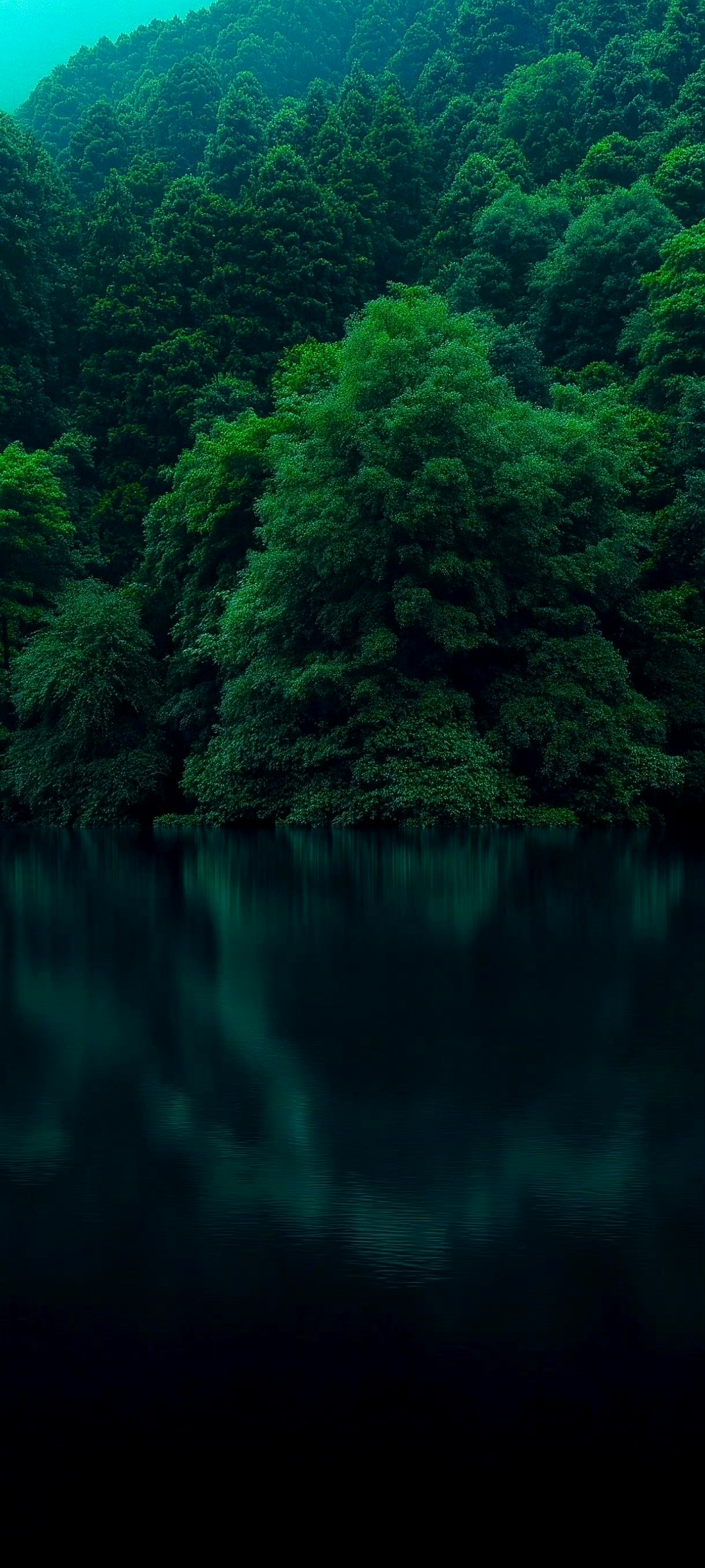𝗦𝗵𝗮𝗿𝗲｜iOS26高清壁纸｜iphone17精选锁#手机壁纸##iPhone壁纸#​
