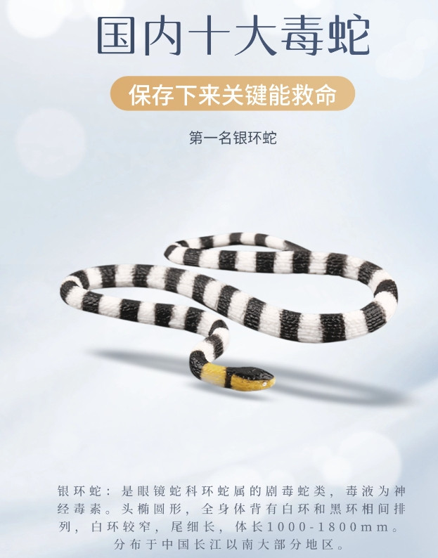 国内十大毒蛇照片，了解清楚，意外来时会有用处