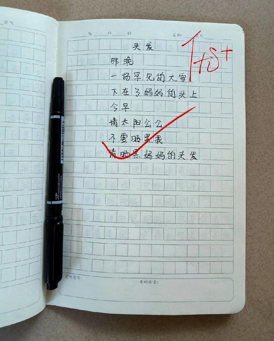  破防了！小学生作文写妈妈的白发是“一场大雪”，看哭了！