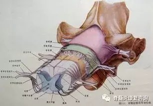 治疗脊髓炎, 中医在痛苦中奋进