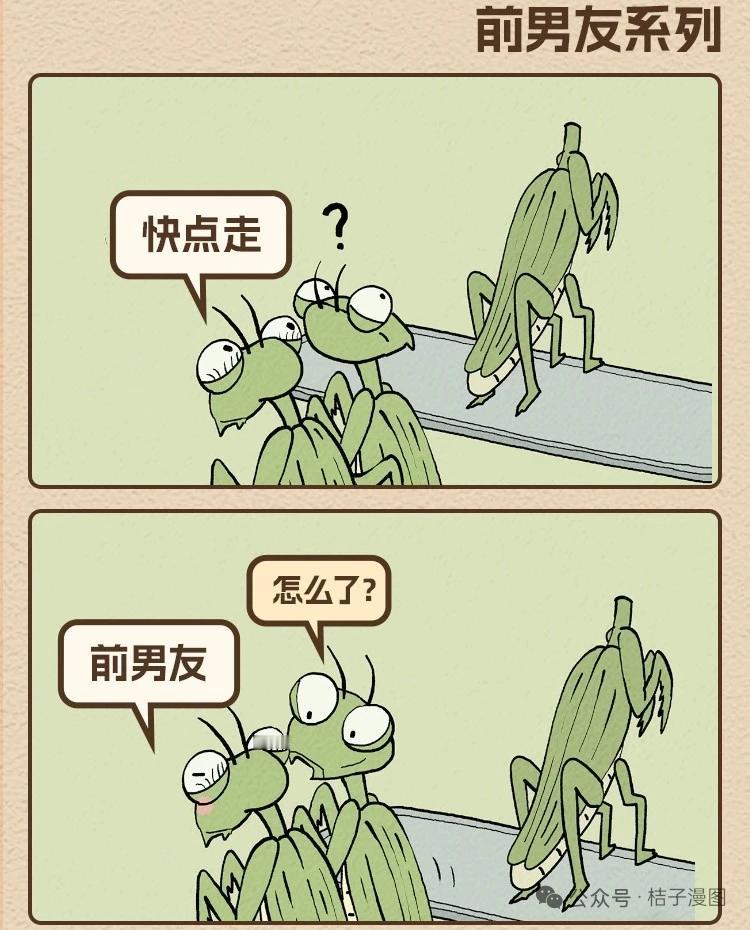 哈哈，互联网日常螳螂梗[捂脸哭]