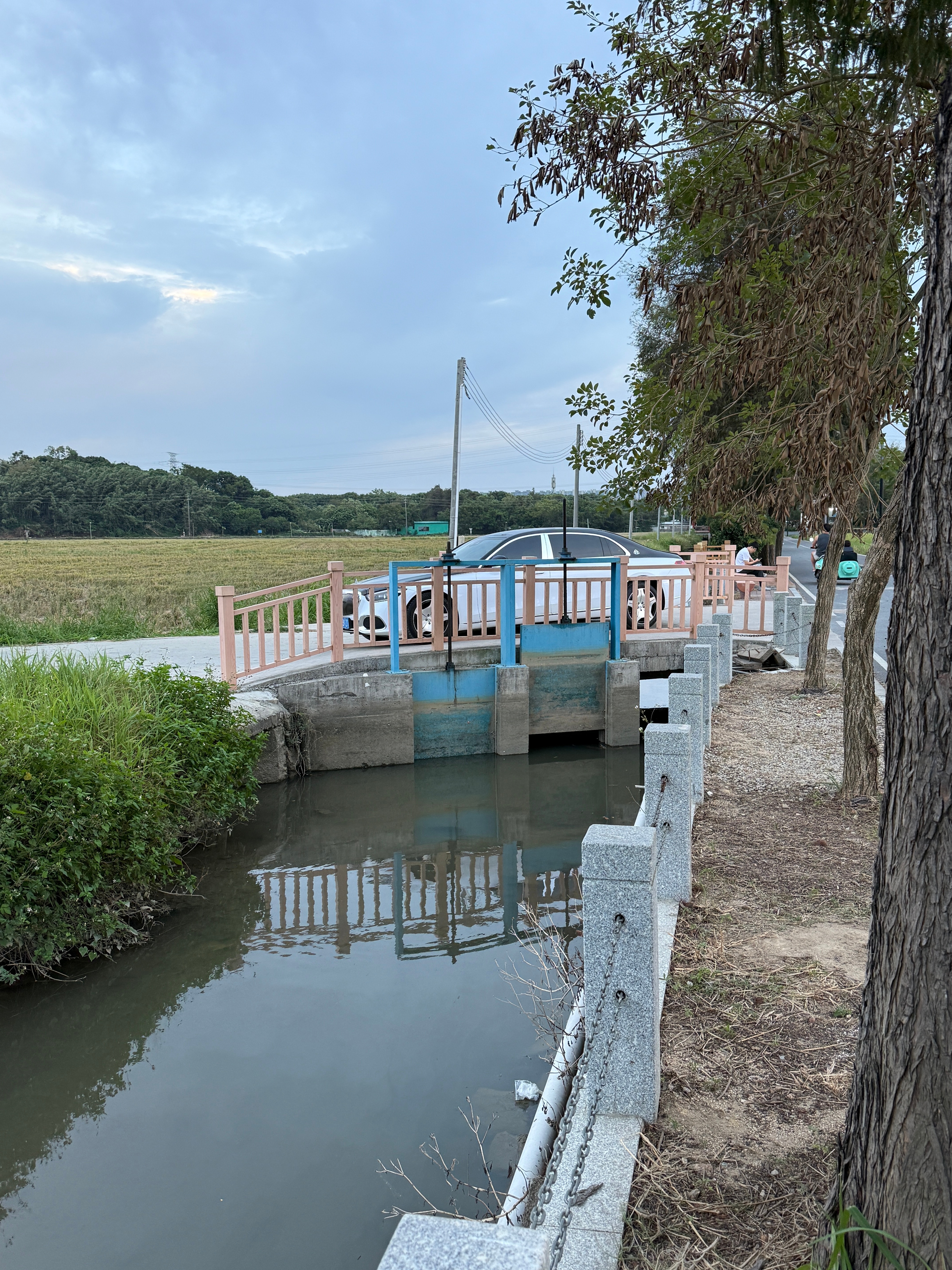 车很漂亮，但是停的位置稍微有点危险