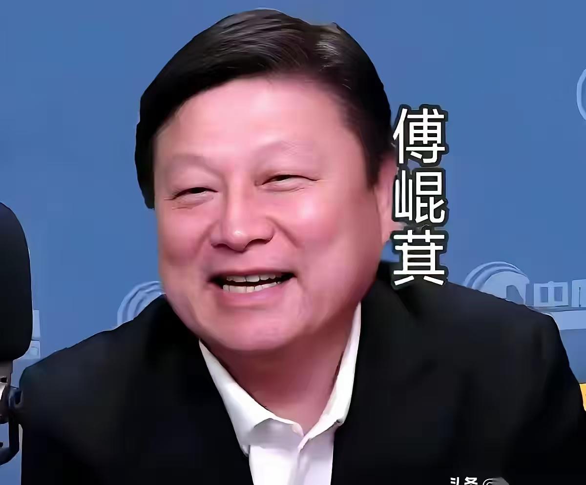 傅崐萁别提有多兴奋了！ 说白了，就是傅崐萁当上了国民党的副秘书长，虽然是负的