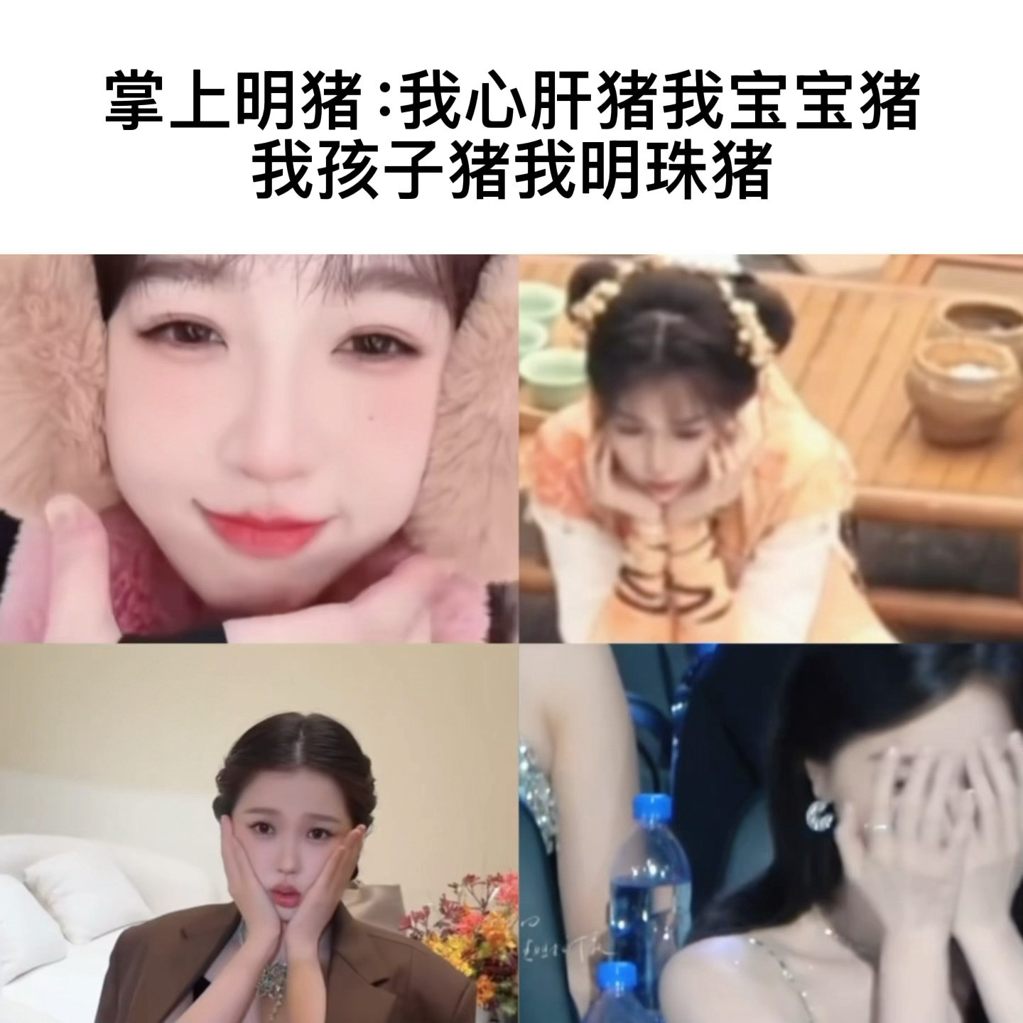 小猪成语积累虞书欣