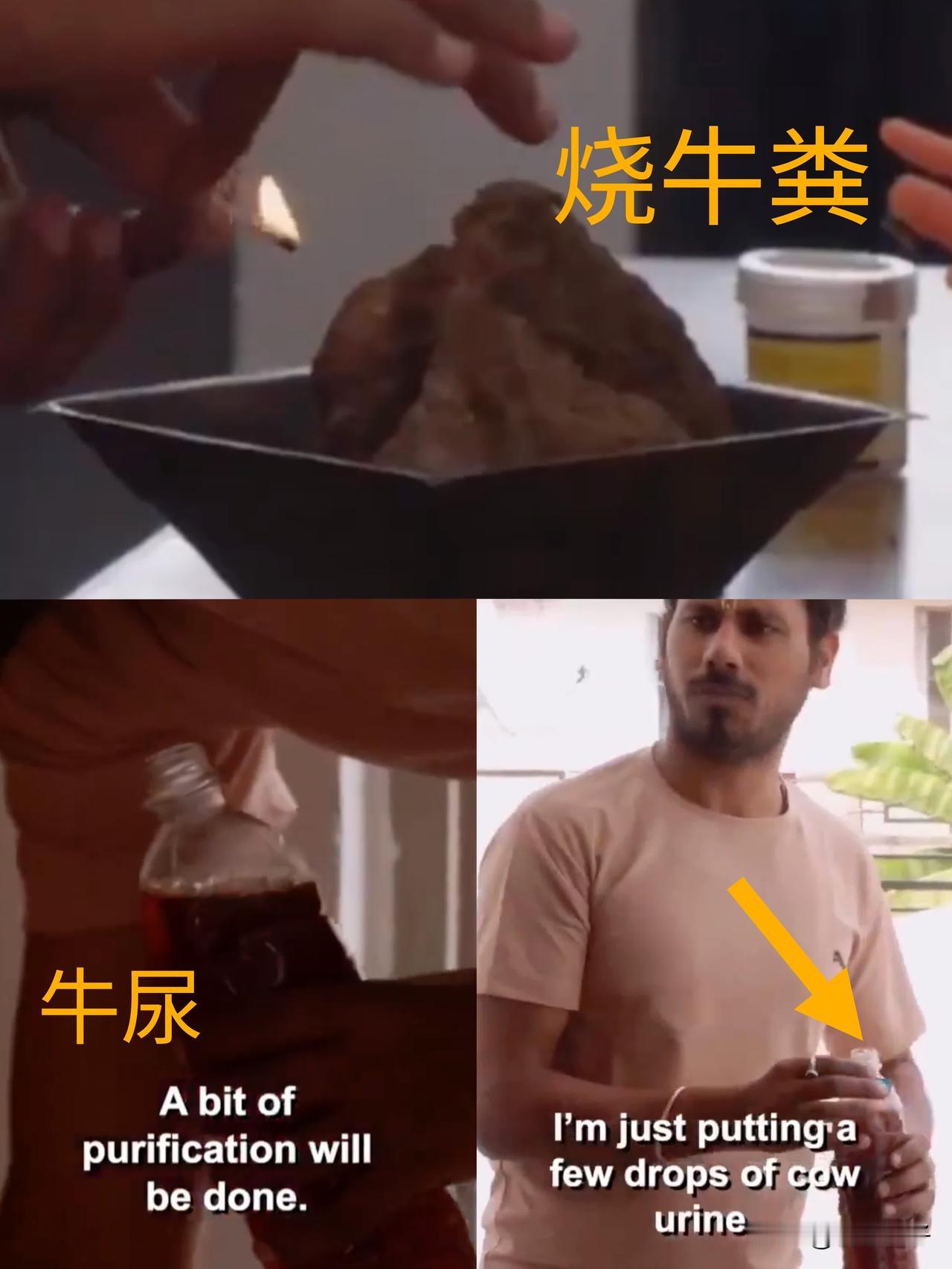 在厨房用牛粪和牛尿消毒？刷到这个视频，让人挺吃惊的。😯视频是国外的一档