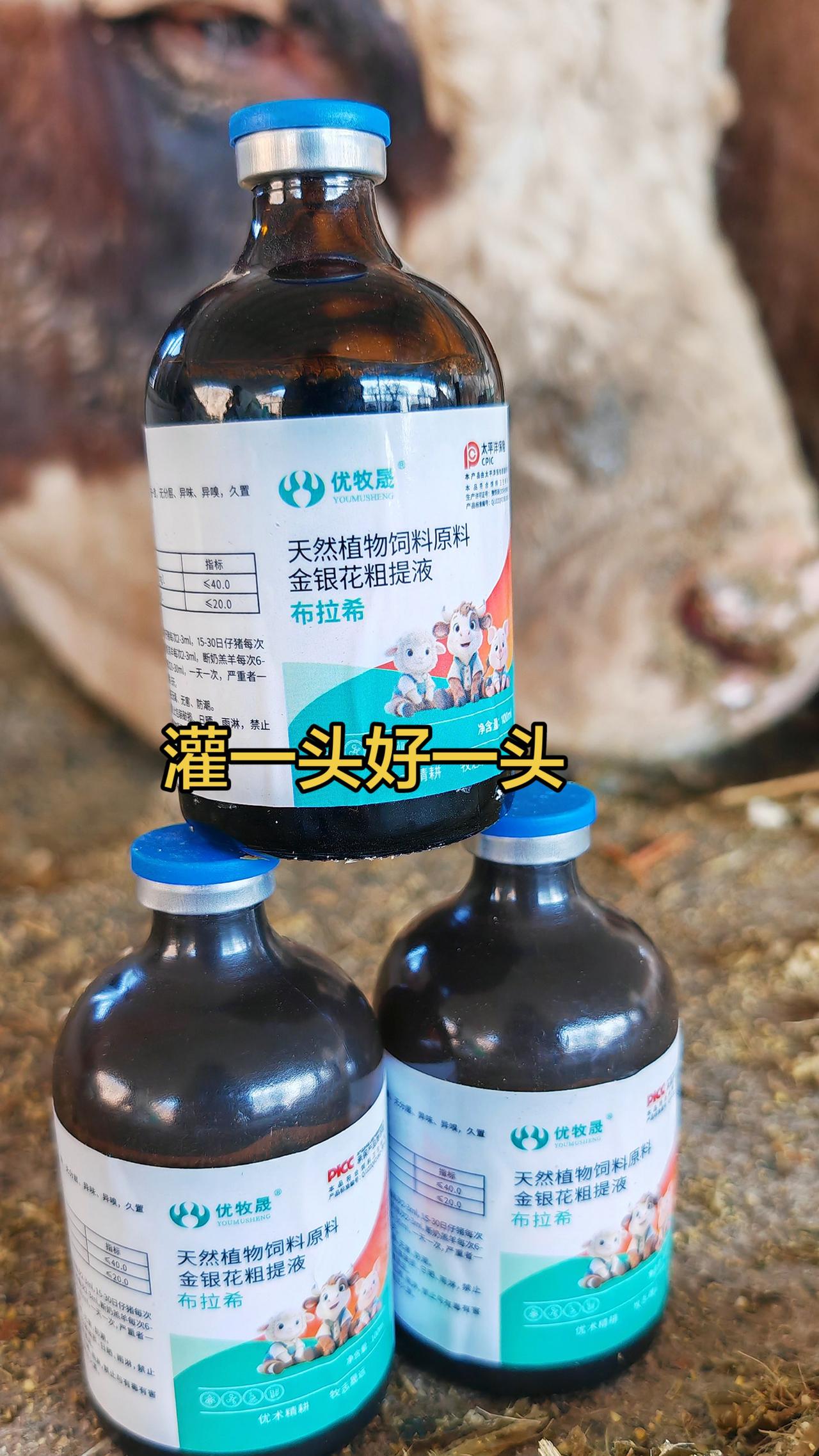 遇到牛羊拉稀就这样做养羊人农村养羊