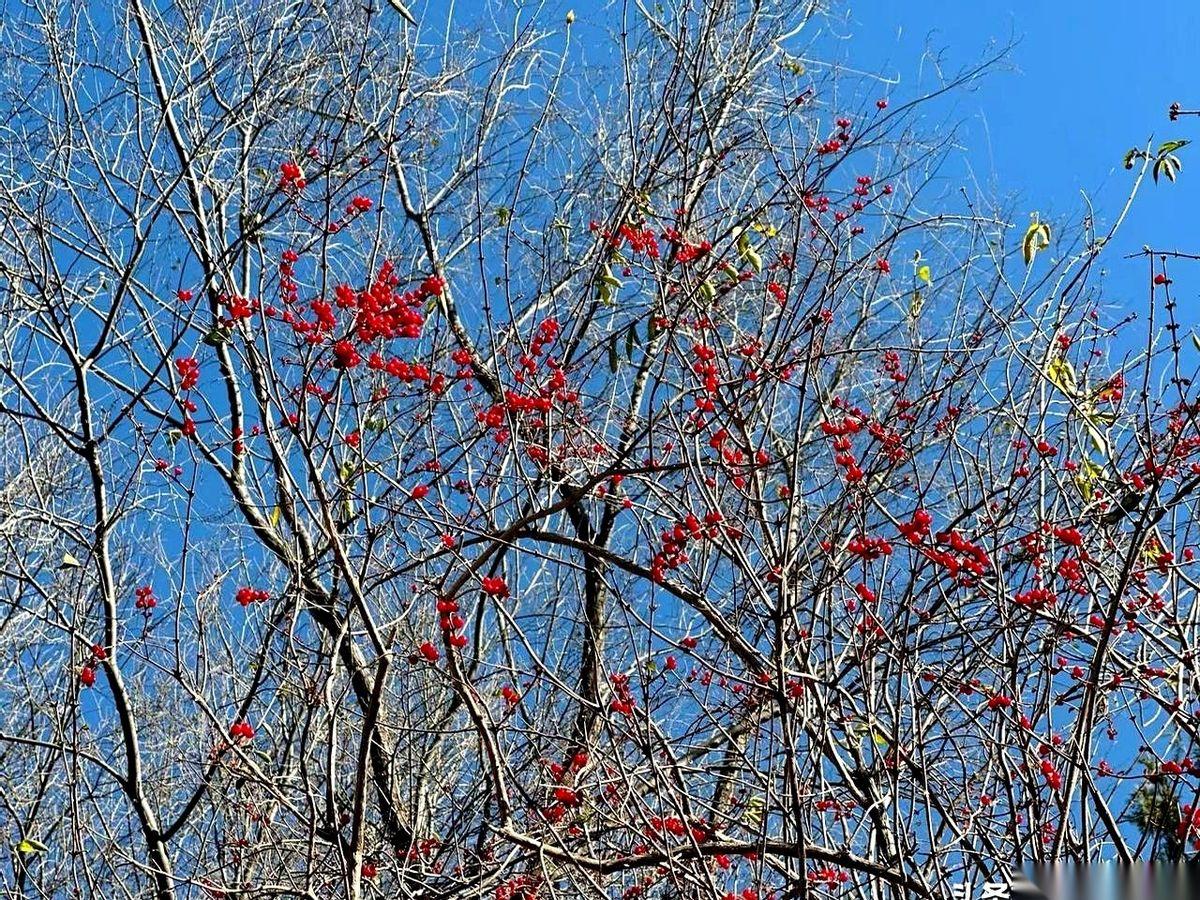徒弟前脚刚走，把一个哭成泪人的女学生扔在了办公室。这烂摊子，接，还是不接？本