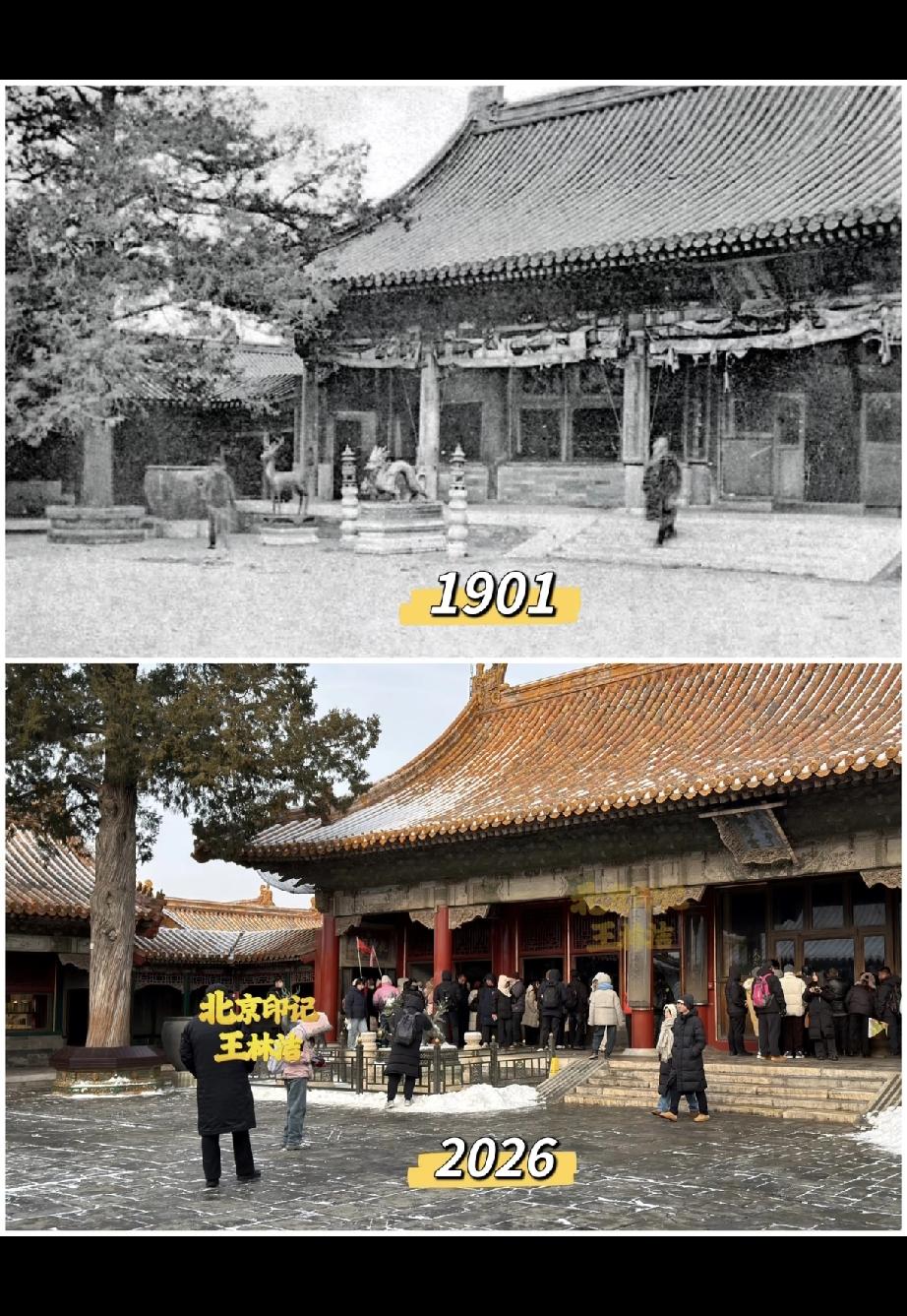 故宫一百年前变化对比:一古树的变化最明显！变化简直超乎想象地明显。往昔看