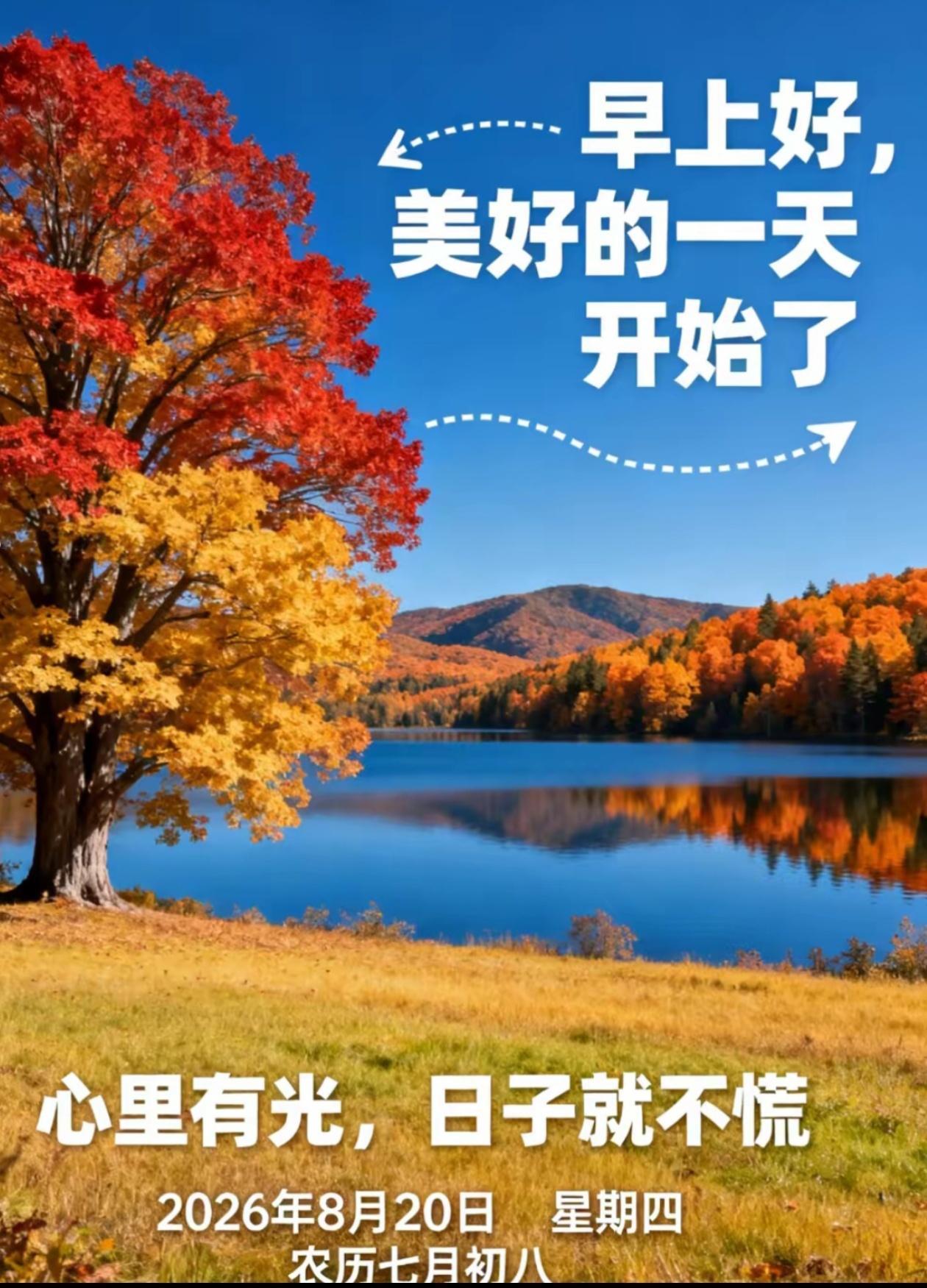 2026./8月20日，按纳生活本真，日子安稳向阳[太